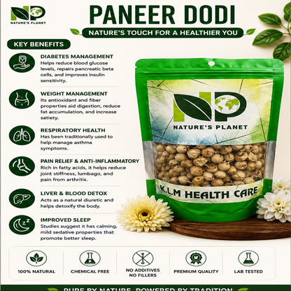 Paneer Dodi Raw